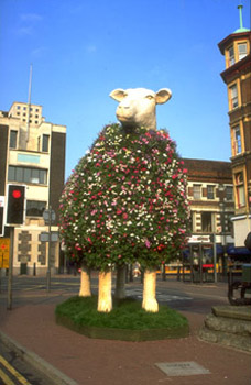 The mighty Maidstone Sheep