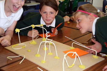 wisbech adventure playground