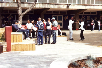 South Camden, Quad Project